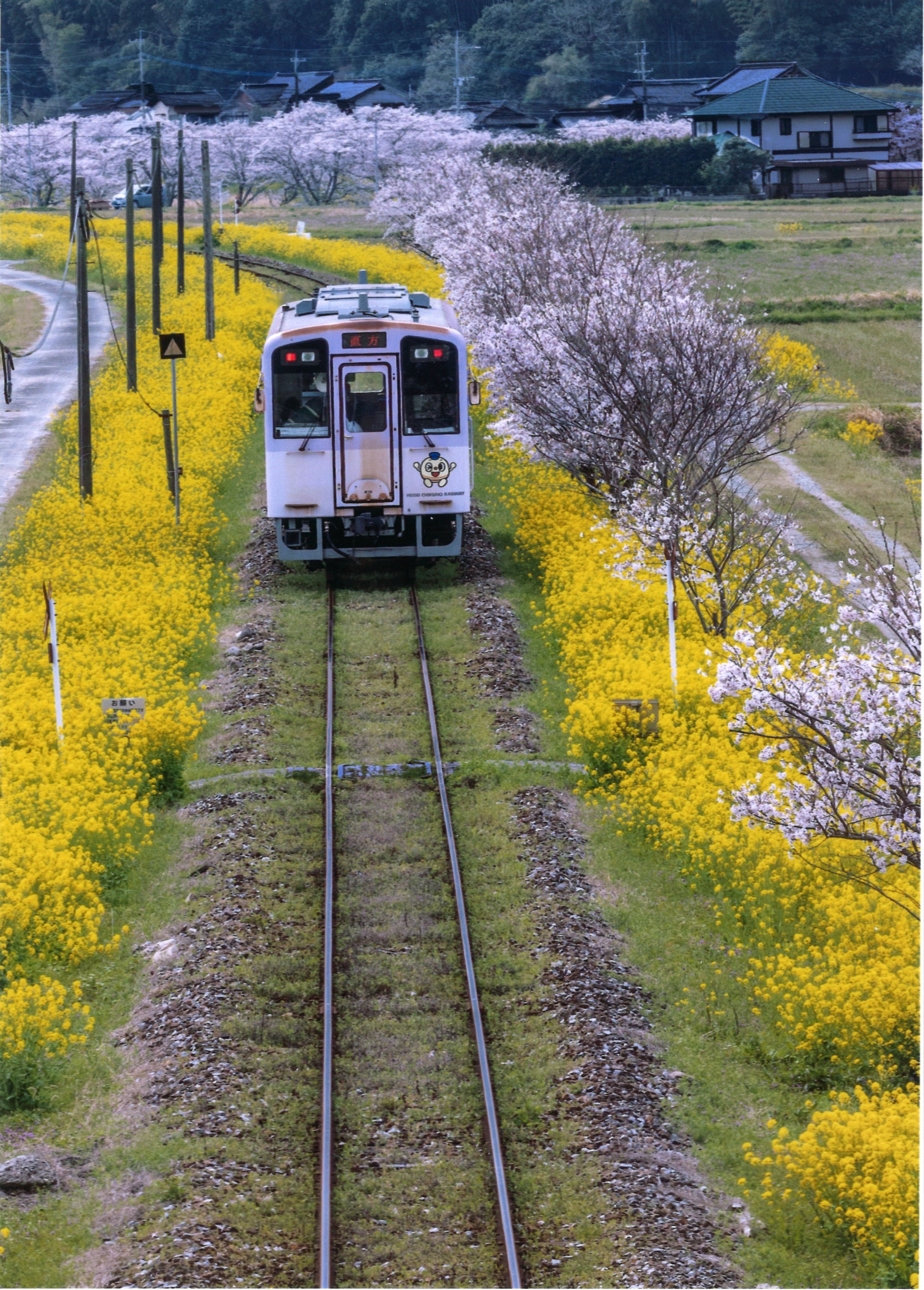 京都郡みやこ町 崎山駅の風景