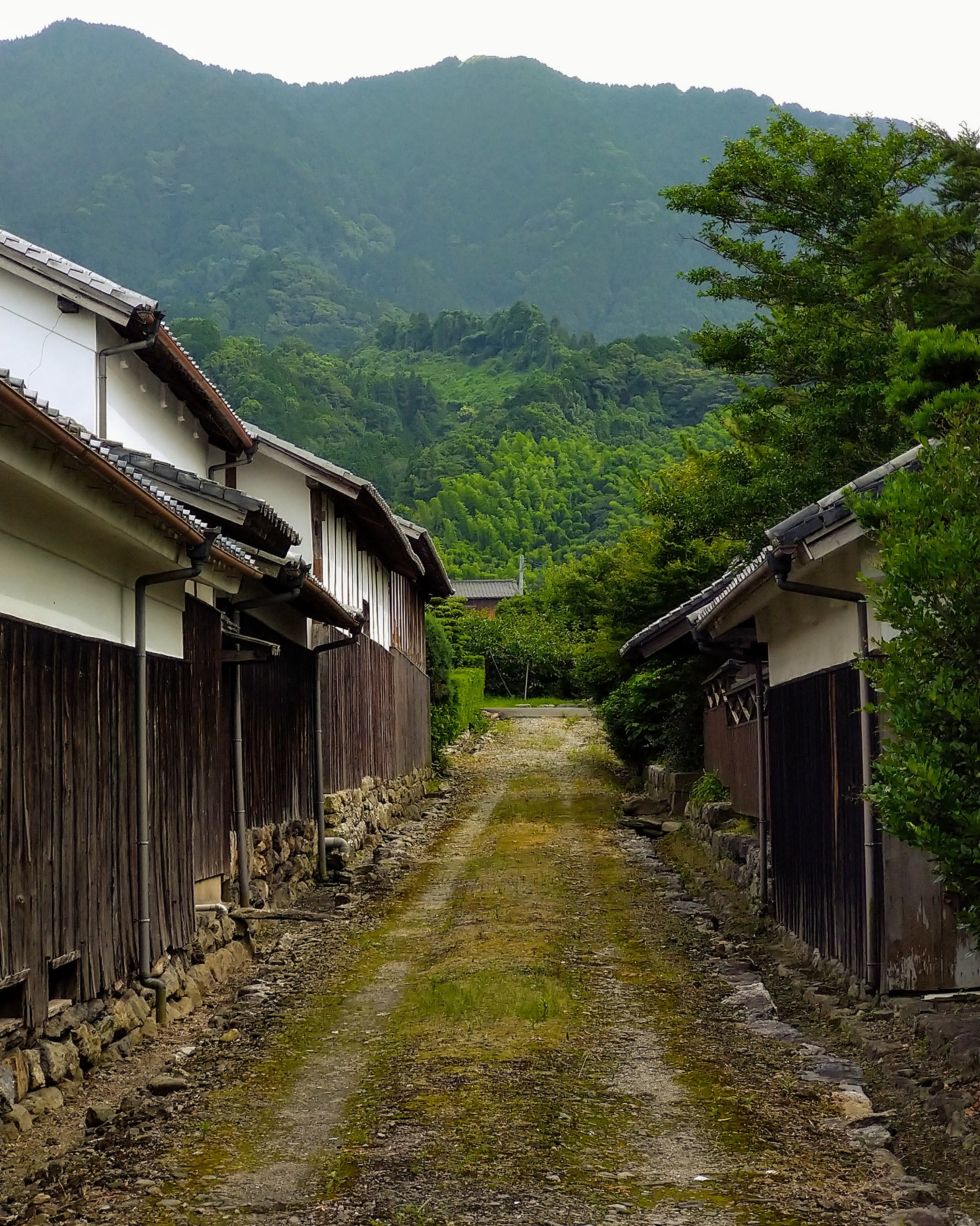 久留米市草野町 草野町の通りの風景