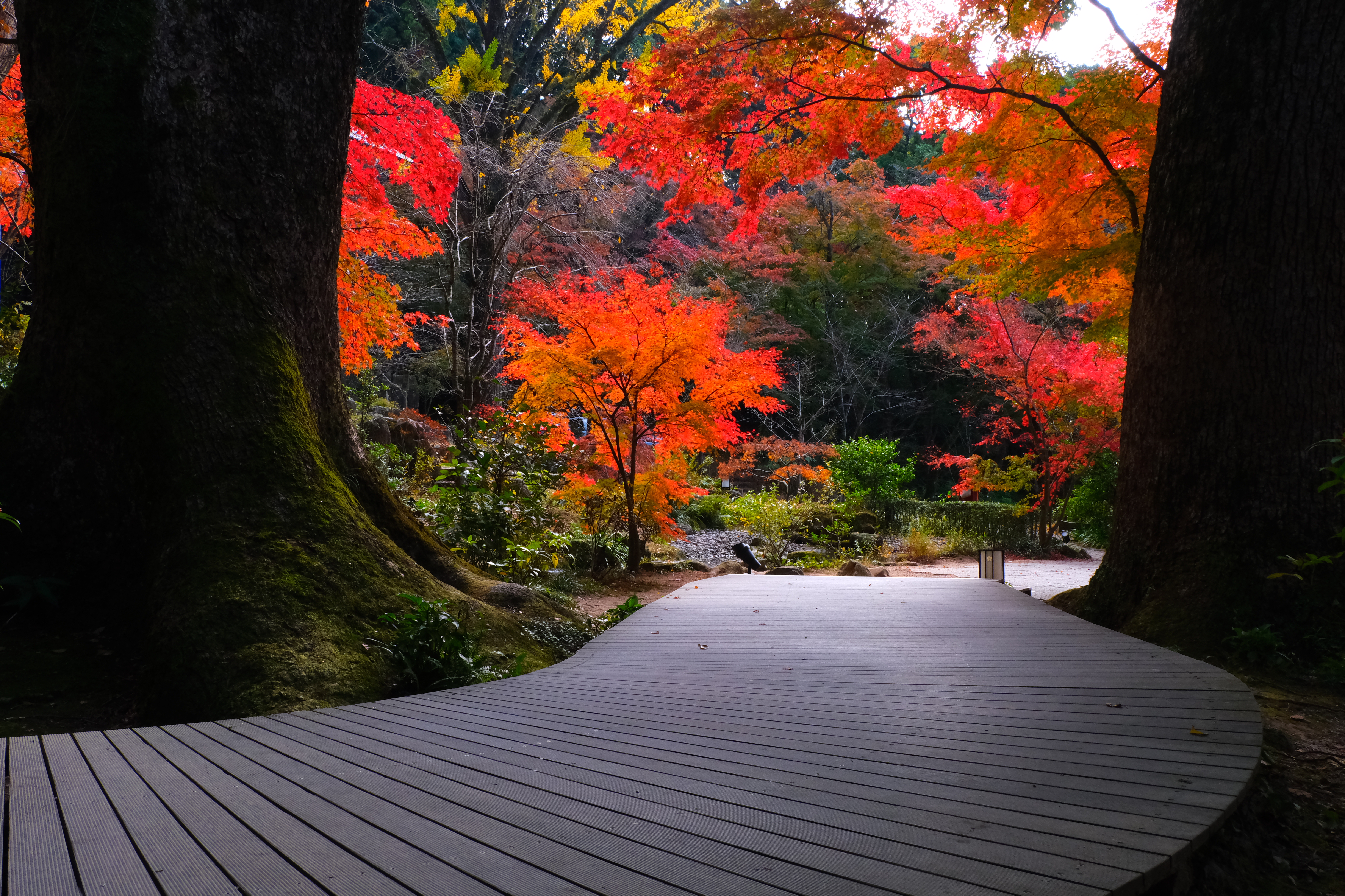 太宰府市 竈門神社の風景