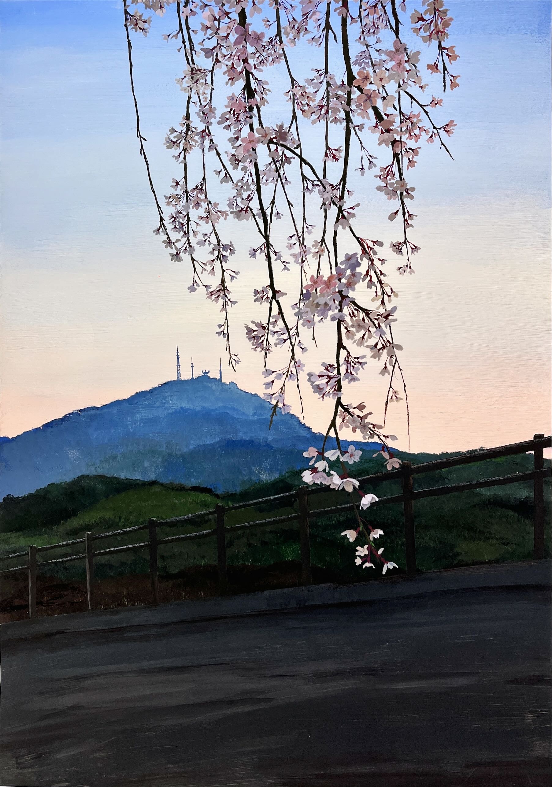 北九州市八幡東区大蔵２丁目　板櫃川沿いの風景