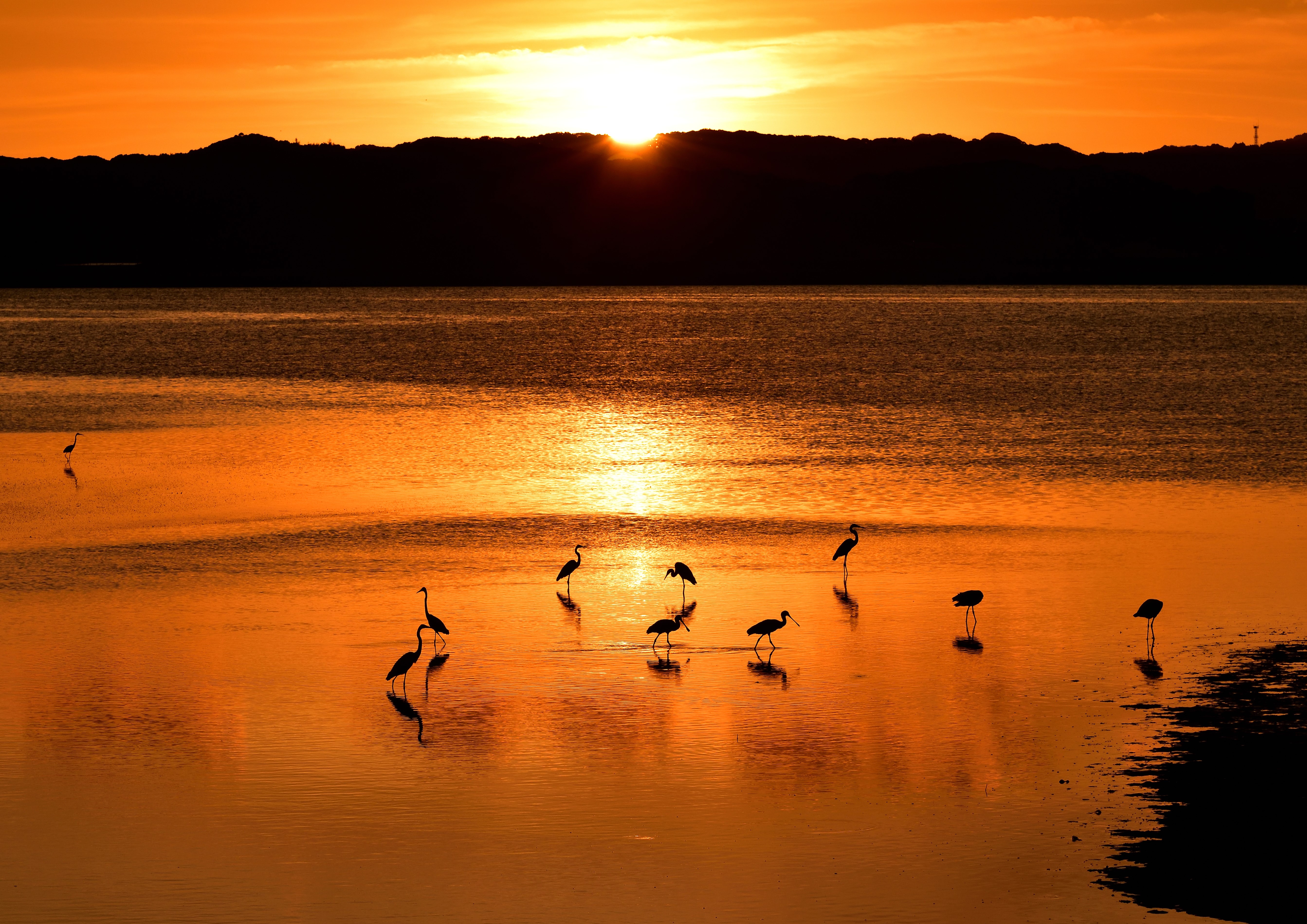 久留米市草野町 草野町の通りの風景